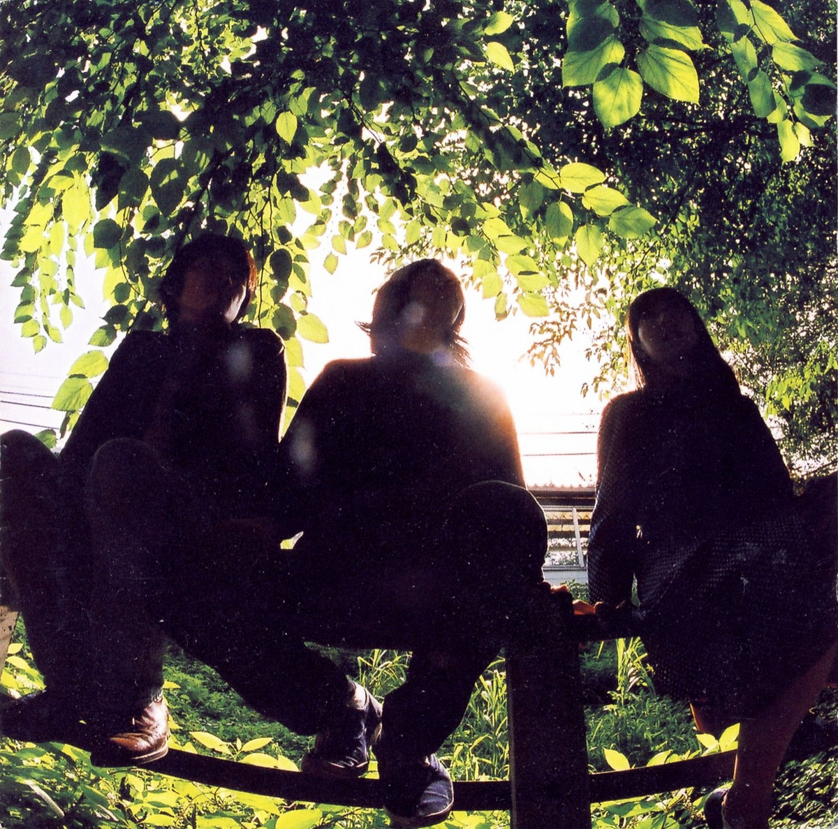 木洩陽通りにて